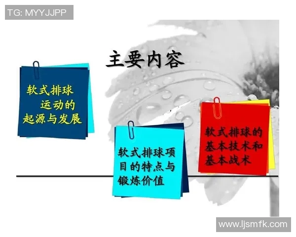 杭州排球队的战术创新与控制体系解析探讨